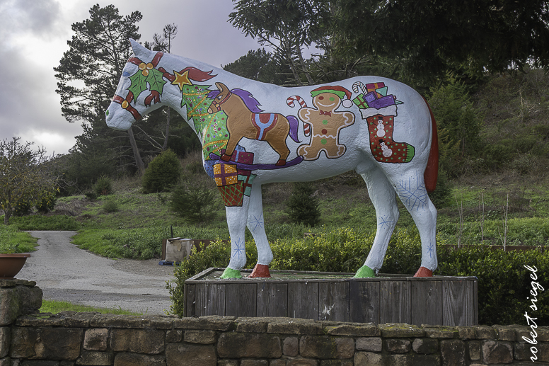 Christmas Bird Count 2026